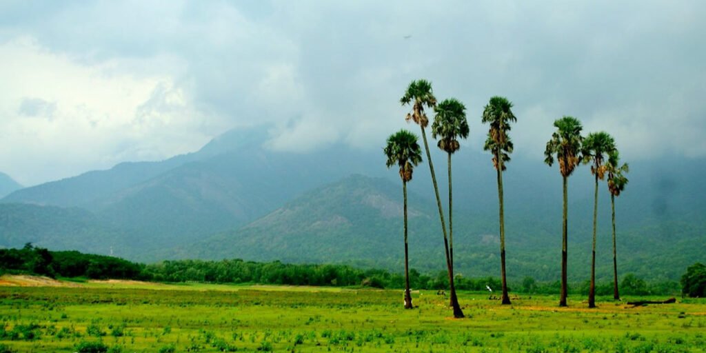 Palakkad: The Gateway to Kerala