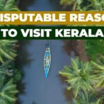 Kerala: The Enchanting Jewel of India's Southern Coast