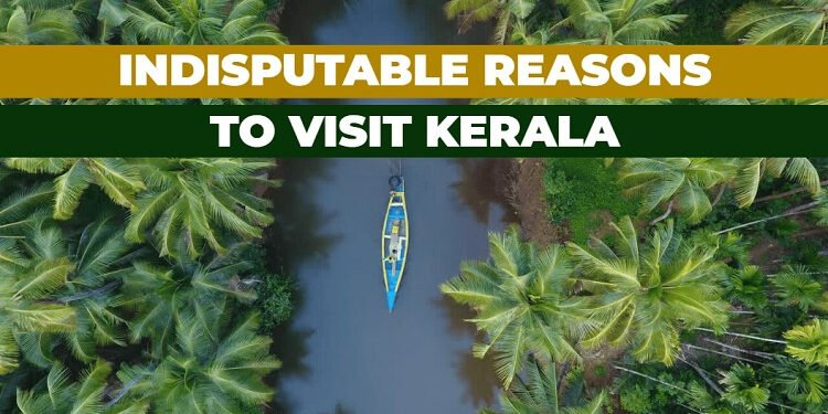 Kerala: The Enchanting Jewel of India's Southern Coast