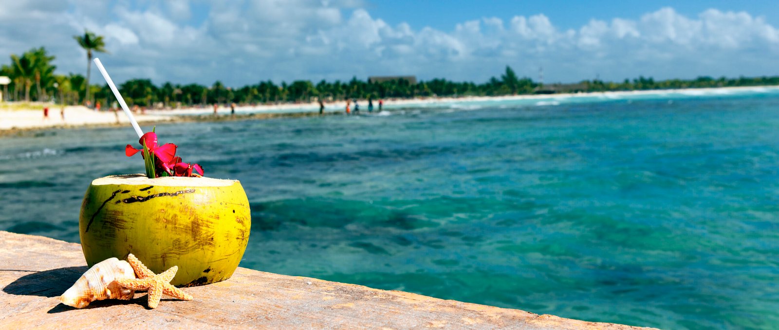 Coconut with drinking straw at the sea Goa